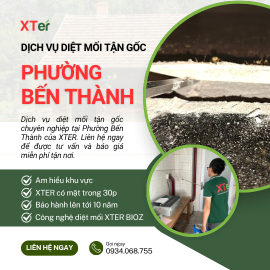 Dịch vụ diệt mối tận gốc tại Bến Thành