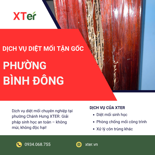 Dịch vụ diệt mối tận gốc tại Bình Đông