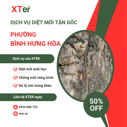 Dịch vụ diệt mối tận gốc tại Bình Hưng Hòa