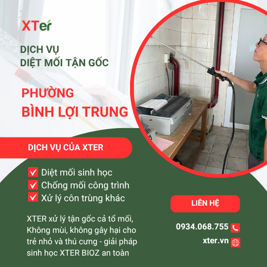 Dịch vụ diệt mối tận gốc tại Bình Lợi Trung