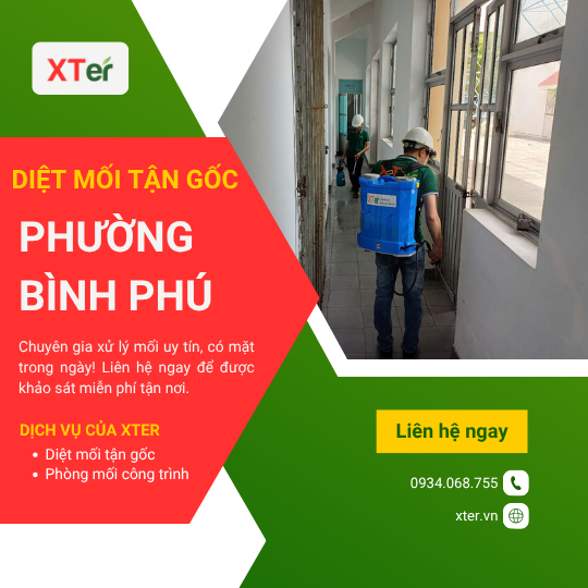 Dịch vụ diệt mối tận gốc tại Bình Phú