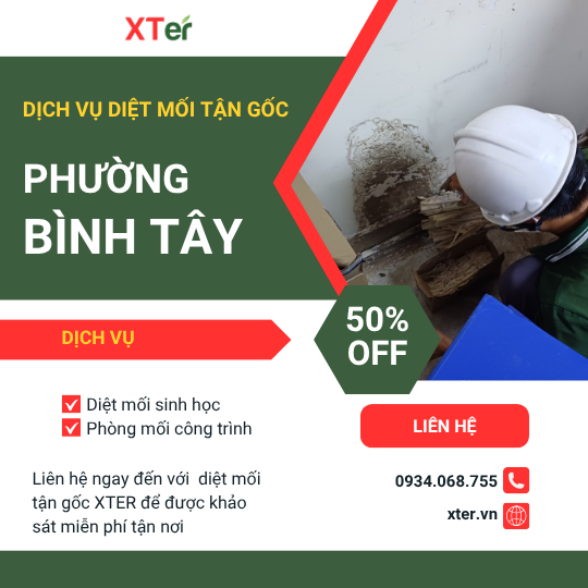 Dịch vụ diệt mối tận gốc tại Bình Tây