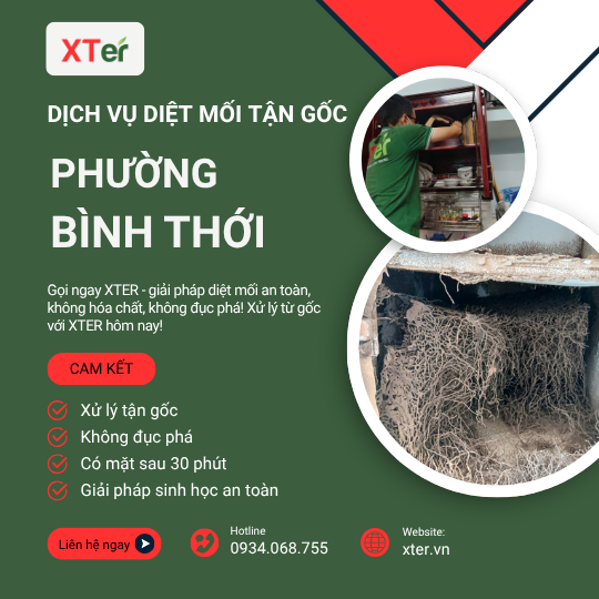 Dịch vụ diệt mối tận gốc tại Bình Thới