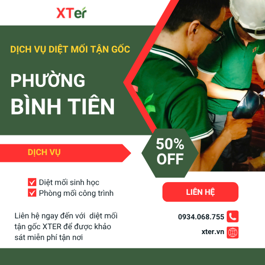 Dịch vụ diệt mối tận gốc tại Bình Tiên