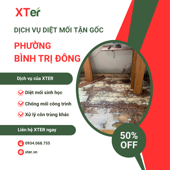 Dịch vụ diệt mối tận gốc tại Bình Trị Đông