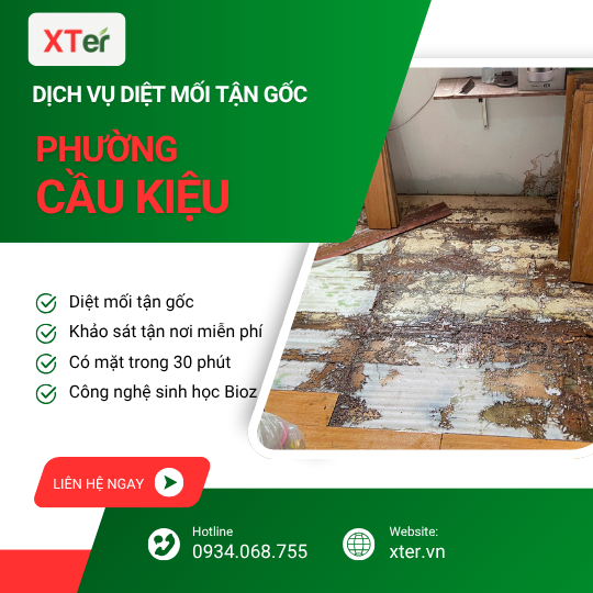 Dịch vụ diệt mối tận gốc tại Cầu Kiệu