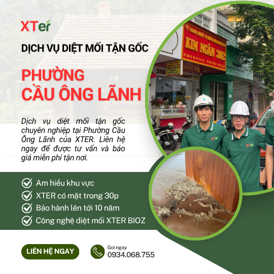 Dịch vụ diệt mối tận gốc tại Cầu Ông Lãnh
