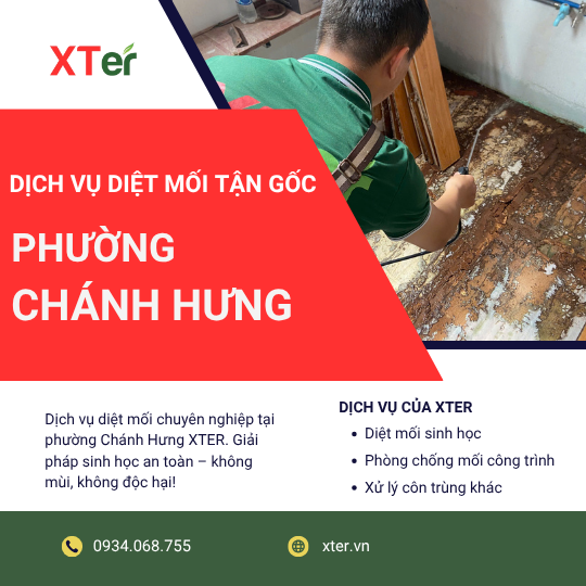 Dịch vụ diệt mối tận gốc tại Chánh Hưng