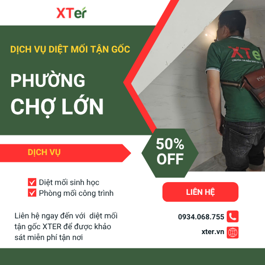 Dịch vụ diệt mối tận gốc tại Chợ Lớn