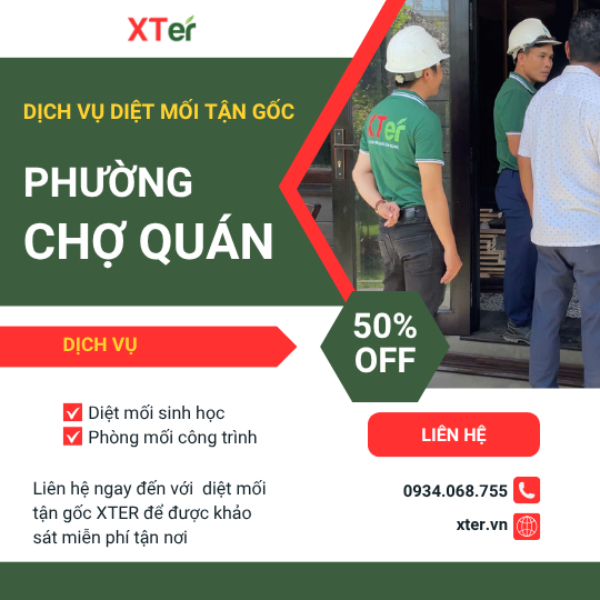 Dịch vụ diệt mối tận gốc tại Chợ Quán