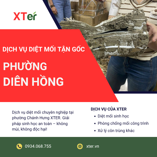 Dịch vụ diệt mối tận gốc tại Diên Hồng
