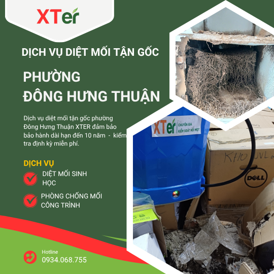 Dịch vụ diệt mối tận gốc tại Đông Hưng Thuận