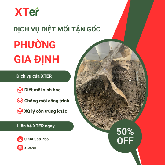 Dịch vụ diệt mối tận gốc tại Gia Định