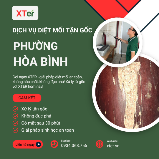 Dịch vụ diệt mối tận gốc tại Hòa Bình