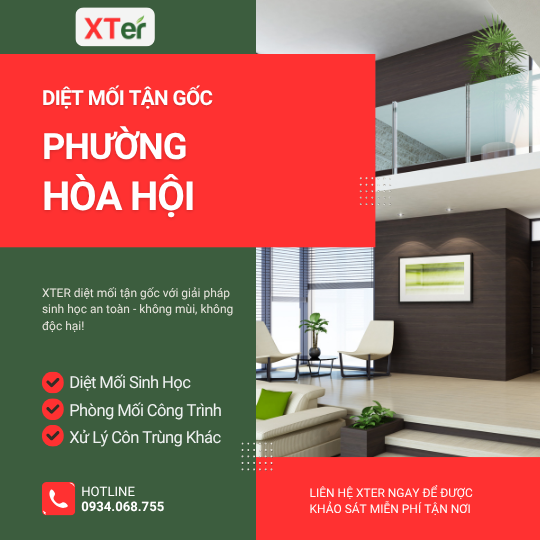 Dịch vụ diệt mối tận gốc tại Hòa Hội