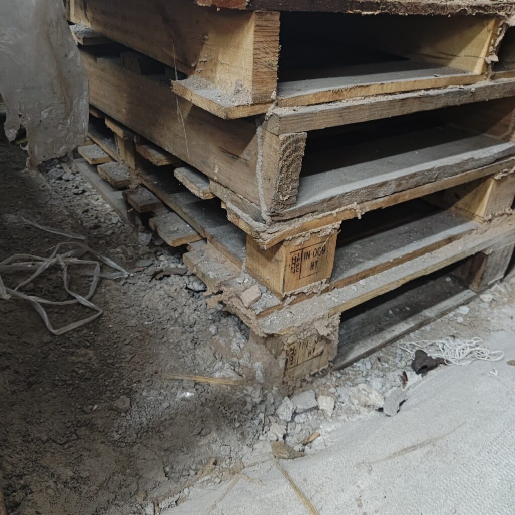 Gỗ, giấy, thùng carton, đây chính là nguồn thức ăn lý tưởng của mối