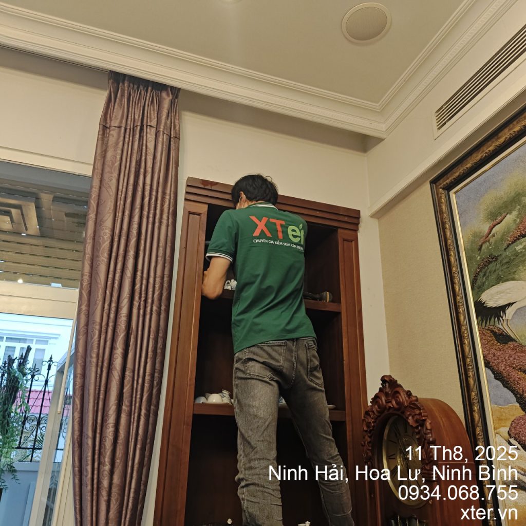 Dịch vụ diệt mối Ninh Bình chuyên nghiệp - XTER