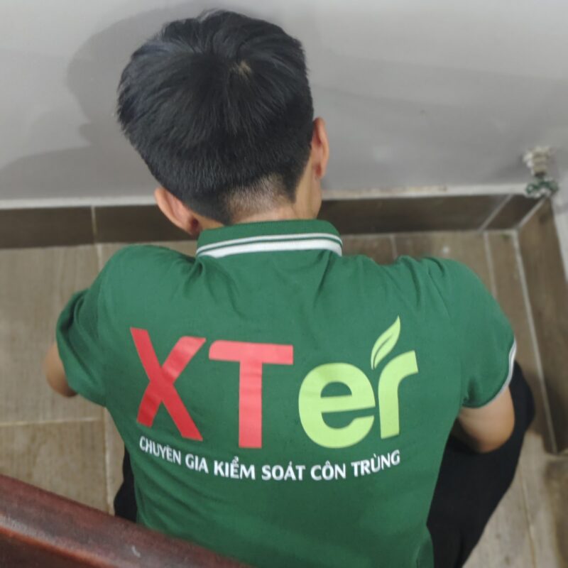 Diệt Mối Tận Gốc Tại Quận 11