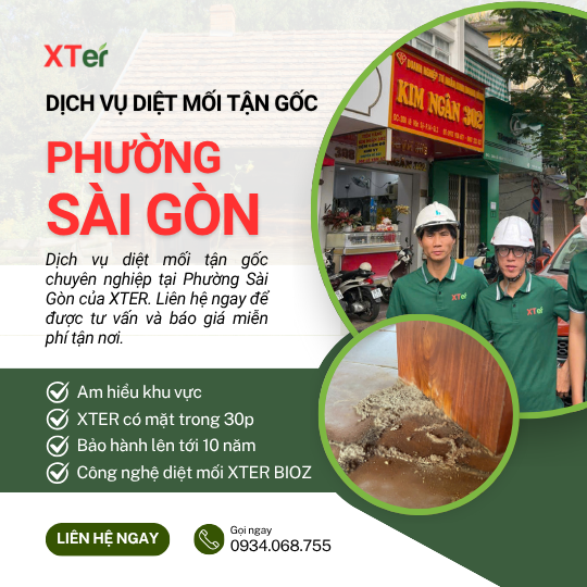 Dịch vụ diệt mối tận gốc tại Sài Gòn