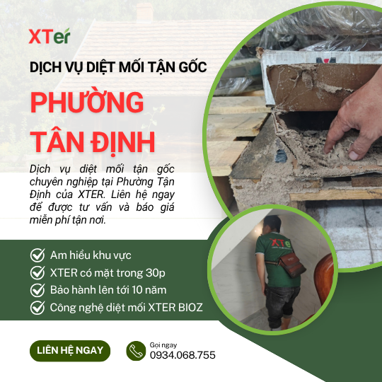 Dịch vụ diệt mối tận gốc tại Tân Định