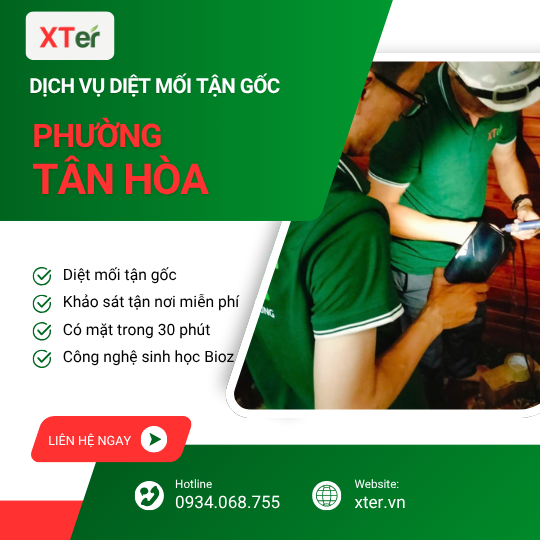 Dịch vụ diệt mối tận gốc tại Tân Hòa
