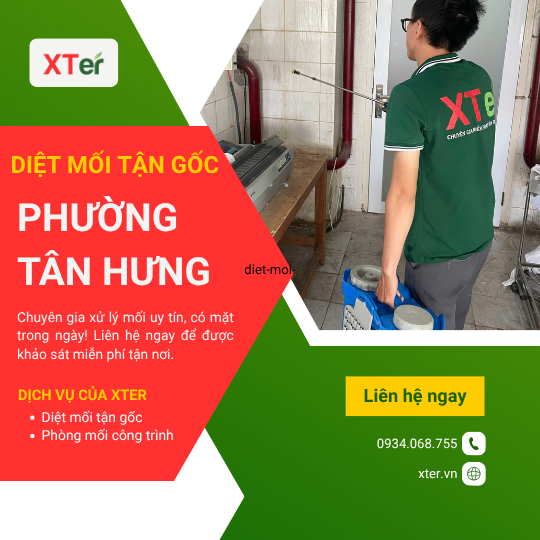 Dịch vụ diệt mối tận gốc tại Tân Hưng