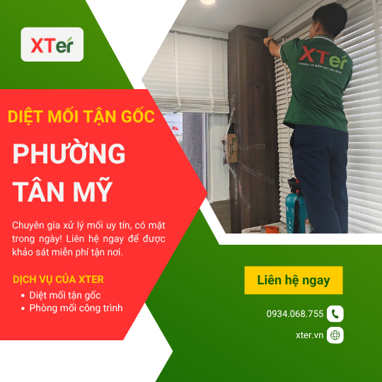 Dịch vụ diệt mối tận gốc tại Tân Mỹ