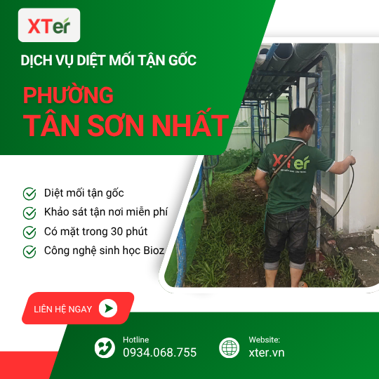 Dịch vụ diệt mối tận gốc tại Tân Sơn Nhất