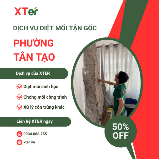 Dịch vụ diệt mối tận gốc tại Tân Tạo