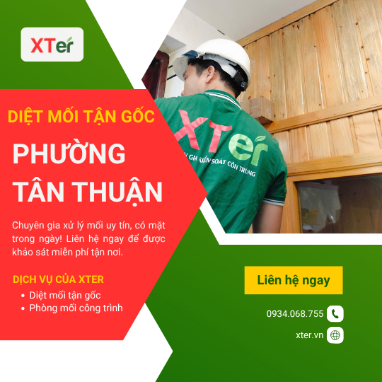 Dịch vụ diệt mối tận gốc tại Tân Thuận