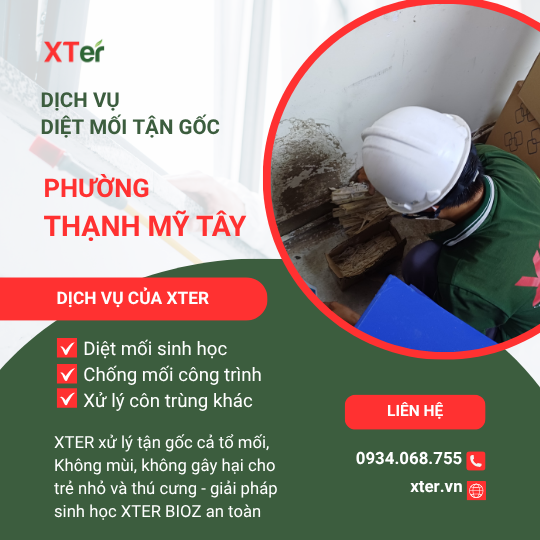 Dịch vụ diệt mối tận gốc tại Thạnh Mỹ Tây