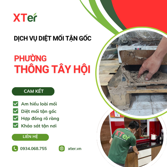 Dịch vụ diệt mối tận gốc tại Thới An