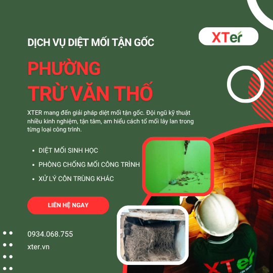 Dịch vụ diệt mối tận gốc tại Trừ Văn Thố