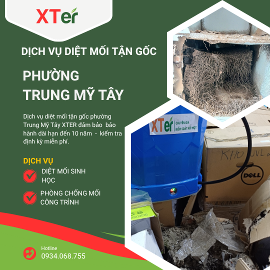 Dịch vụ diệt mối tận gốc tại Trung Mỹ Tây