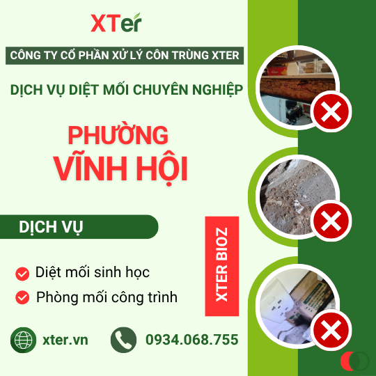 Dịch vụ diệt mối tận gốc tại Vĩnh Hội
