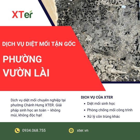 Dịch vụ diệt mối tận gốc tại Vườn Lài