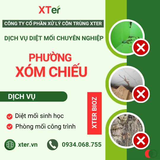 Dịch vụ diệt mối tận gốc tại Xóm Chiếu