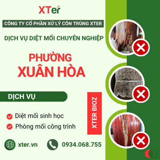 Dịch vụ diệt mối tận gốc tại Xuân Hòa