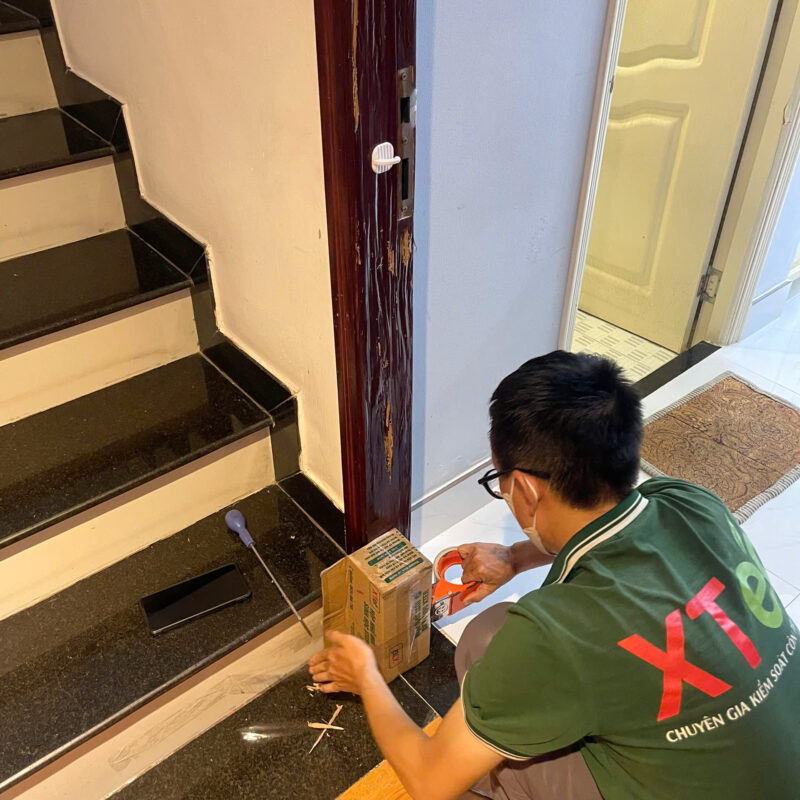 Diệt mối tại nhà dĩ an