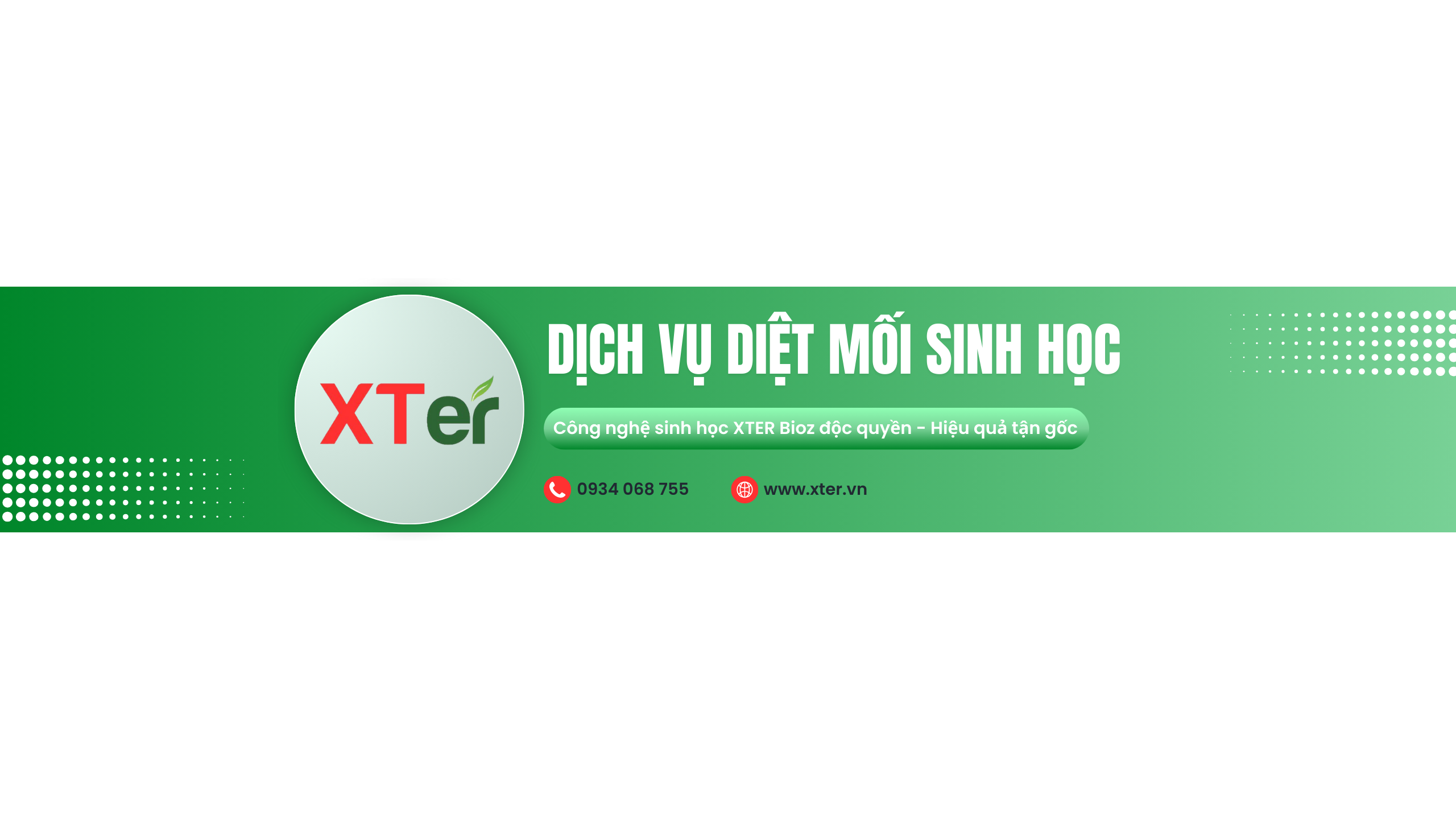 Dịch Vụ Diệt Mối Tại Nhà Dĩ An Bình Dương Bằng Phương Pháp Sinh Học