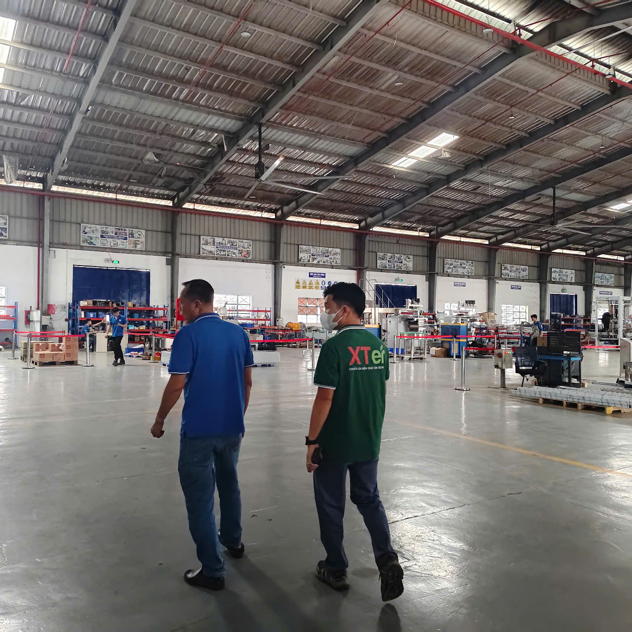 Dịch vụ diệt mối sinh học tại tphcm của xter