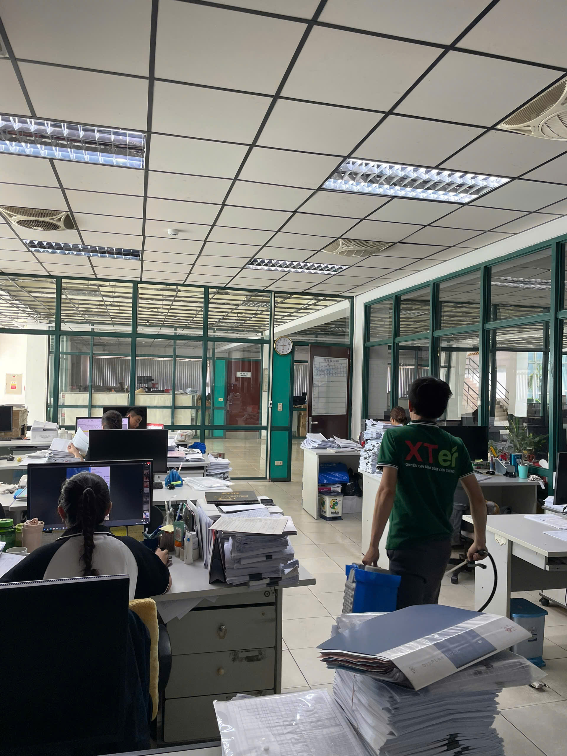 Diệt mối sinh học tại nhà