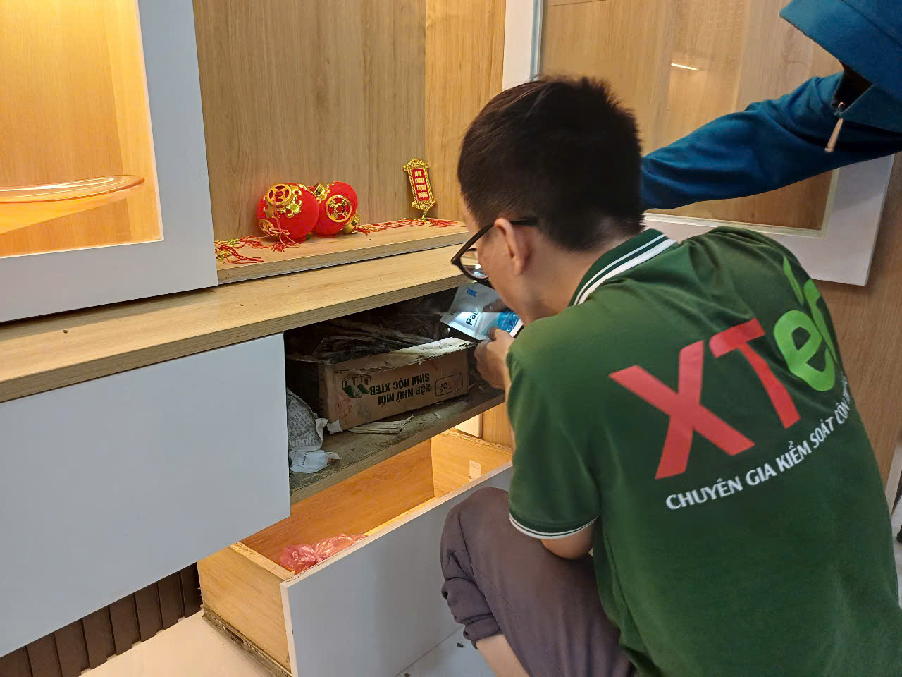 Diệt mối sinh học an toàn cho gia đình