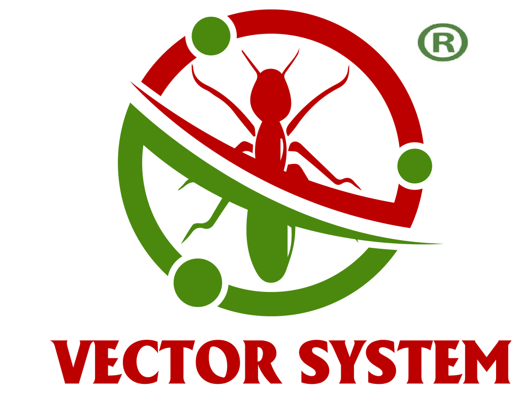 Vector System