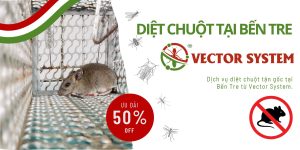 diet chuot ben tre